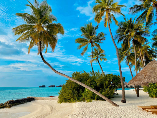 Where to Honeymoon If You Love Beaches